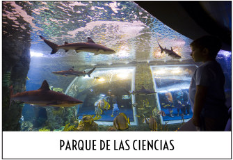 Excursión al Parque de las Ciencias de Granada